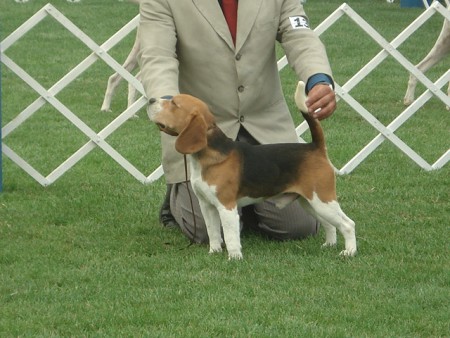 Alejo - CAMPEÓN URUGUAYO 